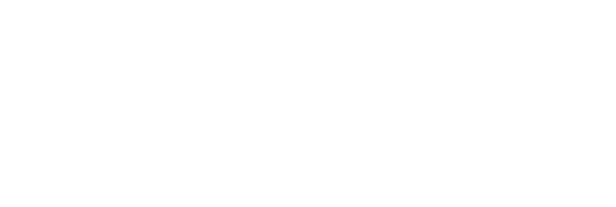 Payvus Logo